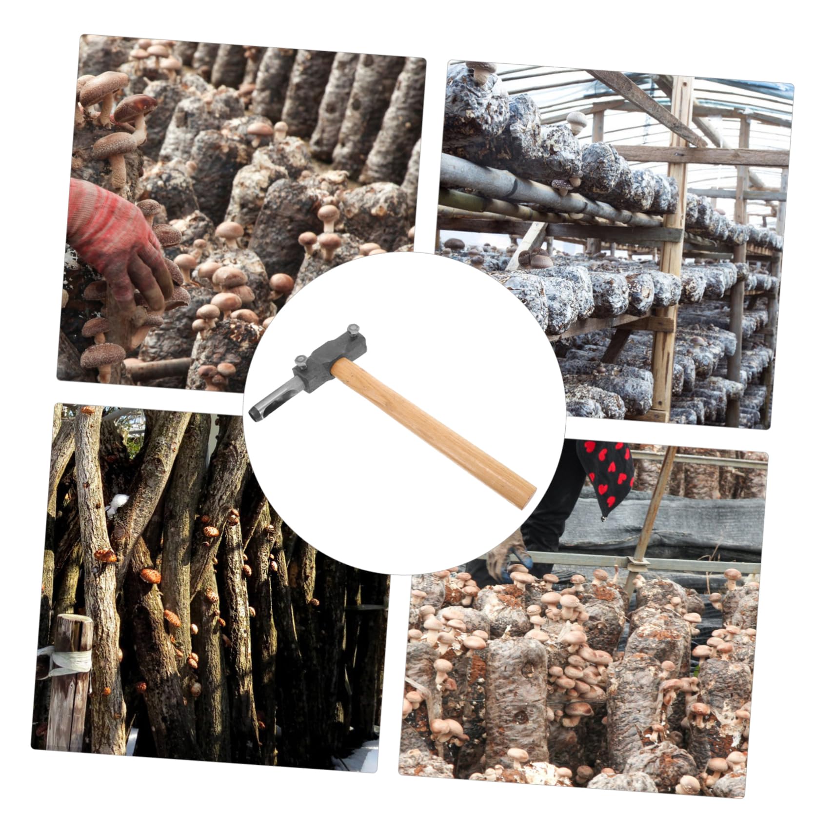 Amazon.co.jp: Levemolo キノコハンマー 丸太接種パンチ キノコ